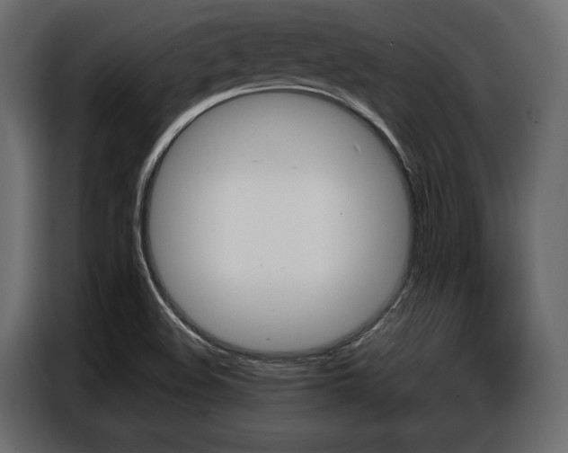 X0000086901508200704160935