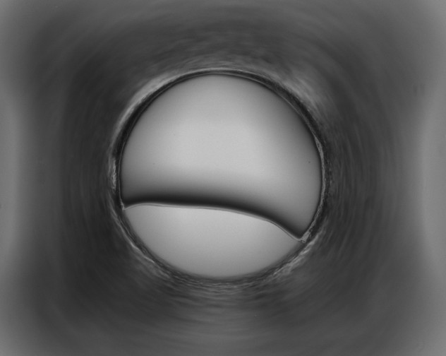 X0000086901509200704160935
