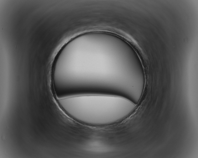X0000086901512200704160935