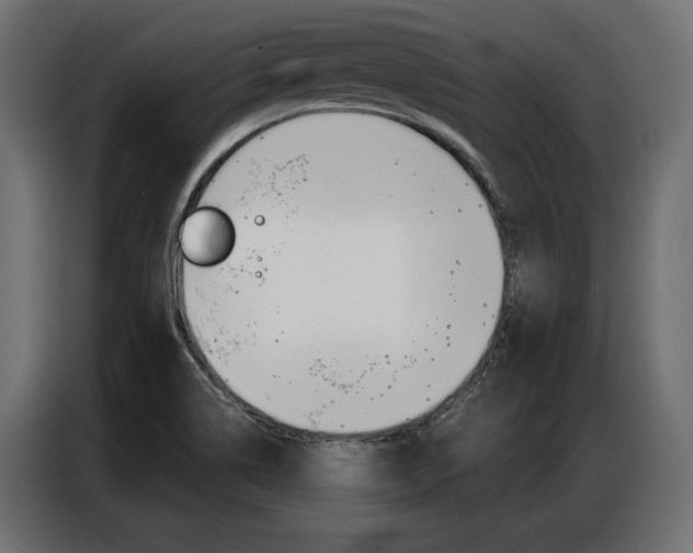 X0000086901514200704160935