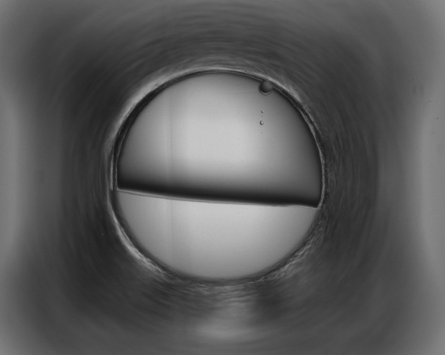 X0000086901515200704160935