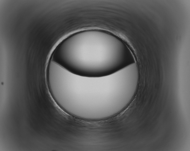 X0000086901516200704160935