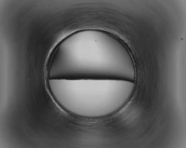 X0000086901517200704160935