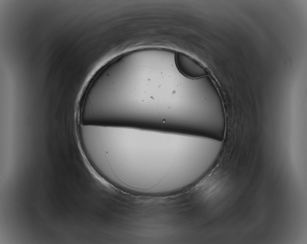 X0000086901519200704160935