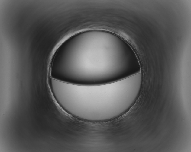 X0000086901520200704160935