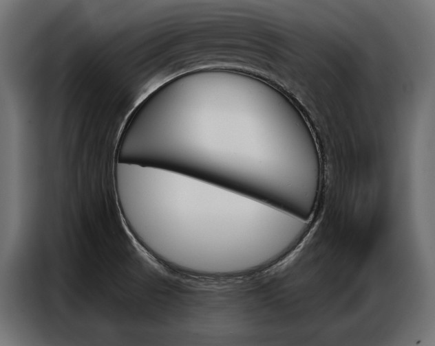 X0000086901521200704160935