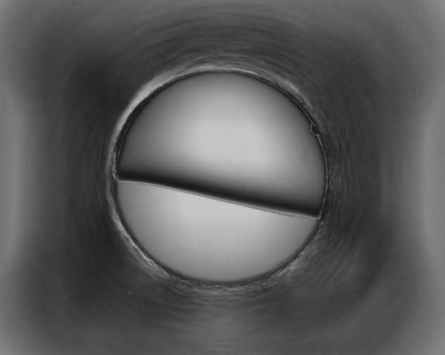 X0000086901522200704160935