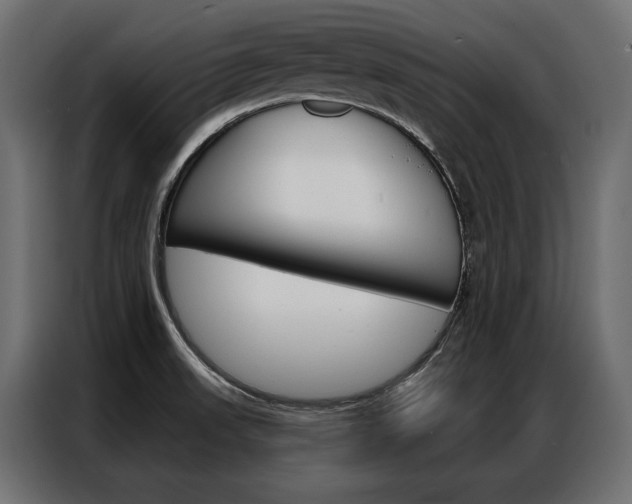X0000086901523200704160935