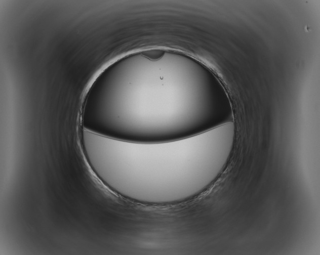 X0000086901524200704160935