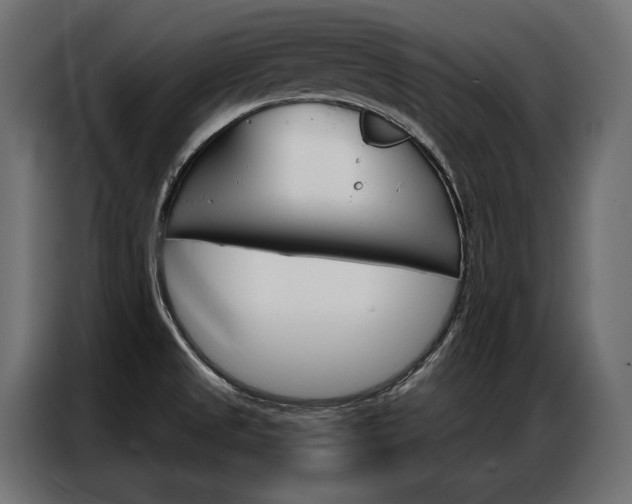 X0000086901525200704160935