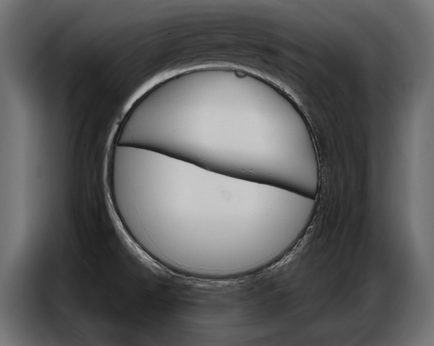 X0000086901526200704160935