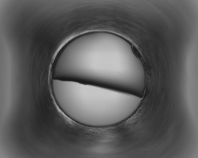 X0000086901527200704160935