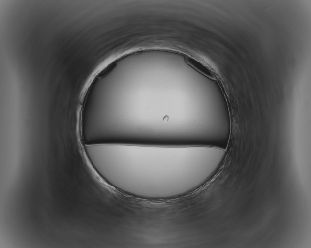 X0000086901528200704160935