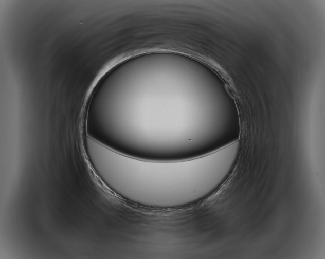 X0000086901530200704160935