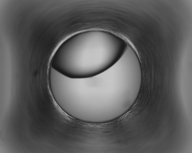 X0000086901532200704160935