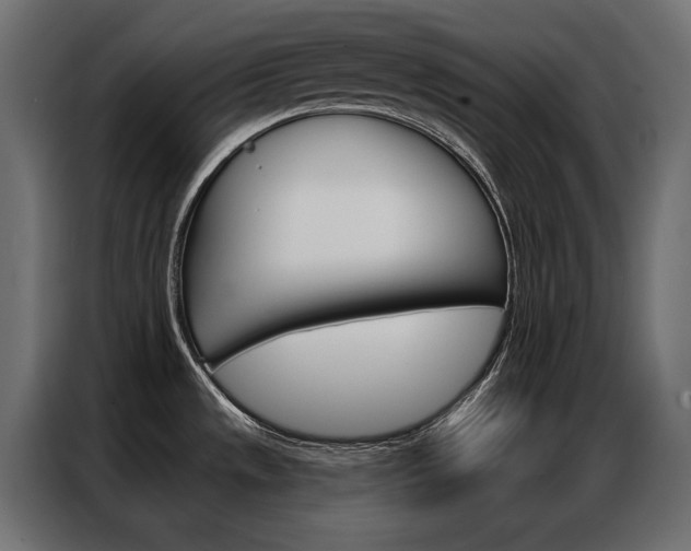X0000086901533200704160935