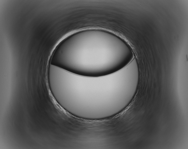 X0000086901534200704160935