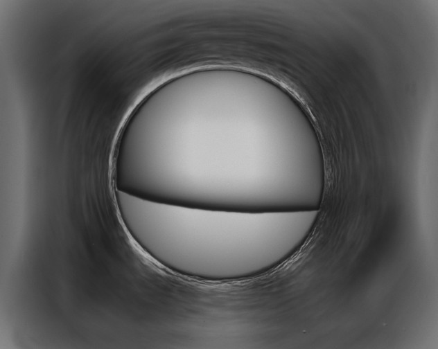 X0000086901535200704160935