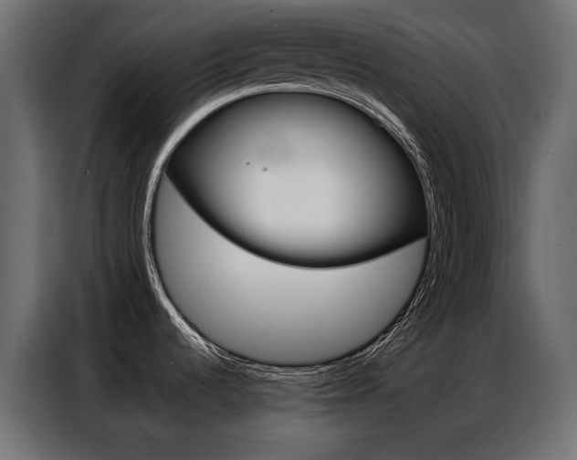 X0000086901536200704160935