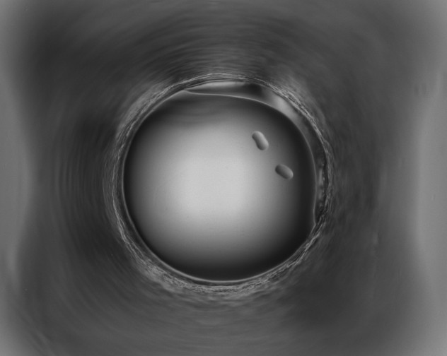 X0000086900001200704161329