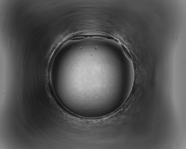 X0000086900002200704161329
