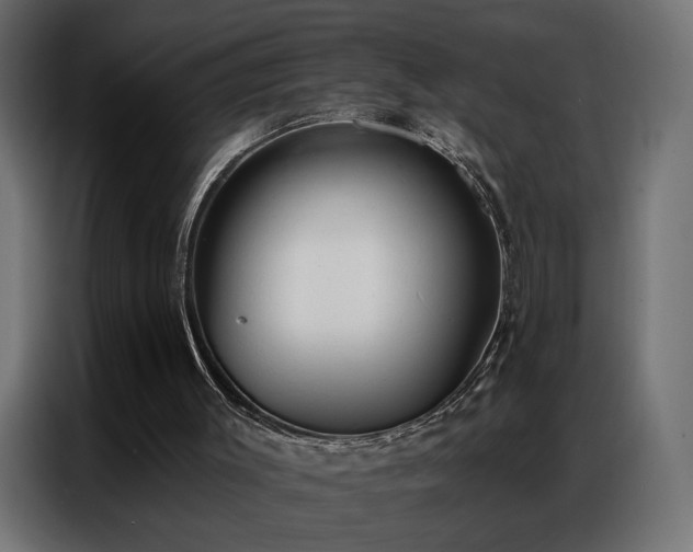 X0000086900003200704161329