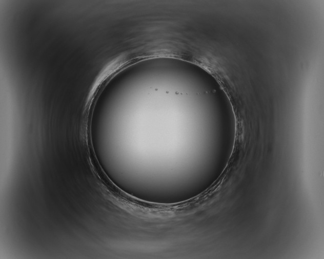 X0000086900004200704161329