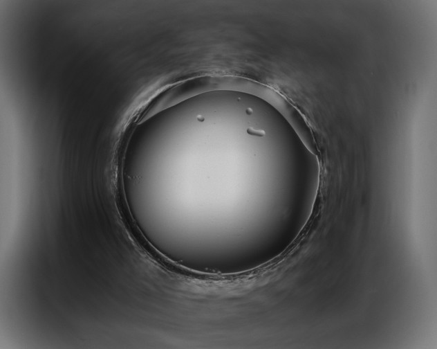 X0000086900005200704161329