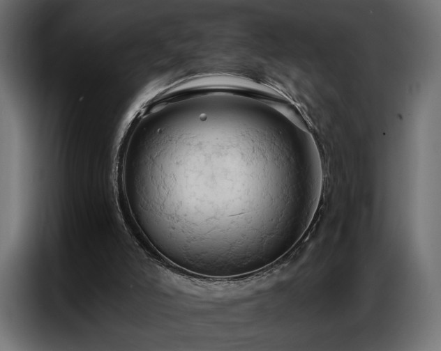 X0000086900006200704161329