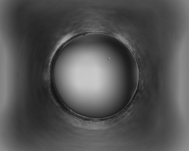 X0000086900008200704161329