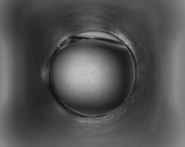 X0000086900009200704161329