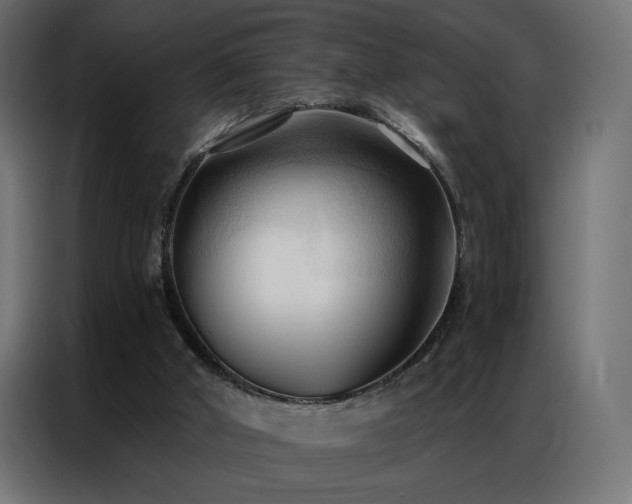 X0000086900010200704161329