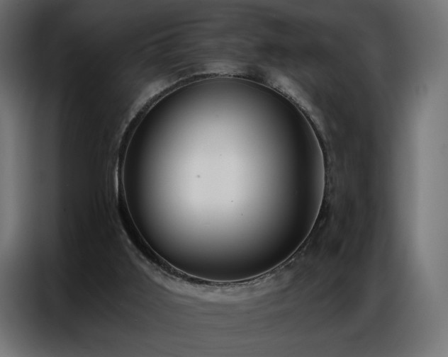 X0000086900011200704161329