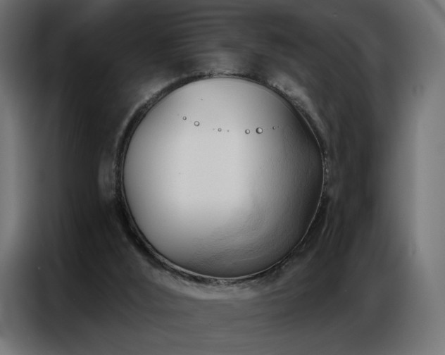 X0000086900012200704161329