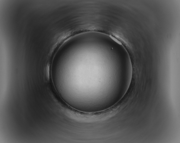 X0000086900014200704161329