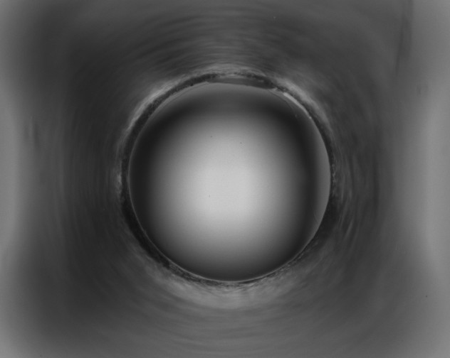 X0000086900015200704161329