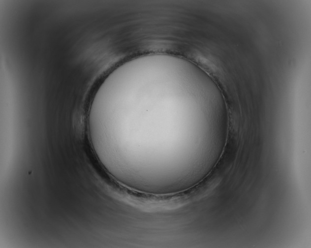 X0000086900016200704161329