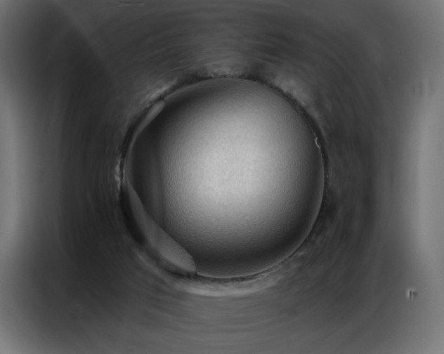 X0000086900017200704161329