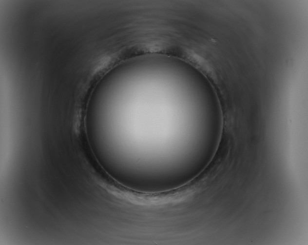 X0000086900018200704161329