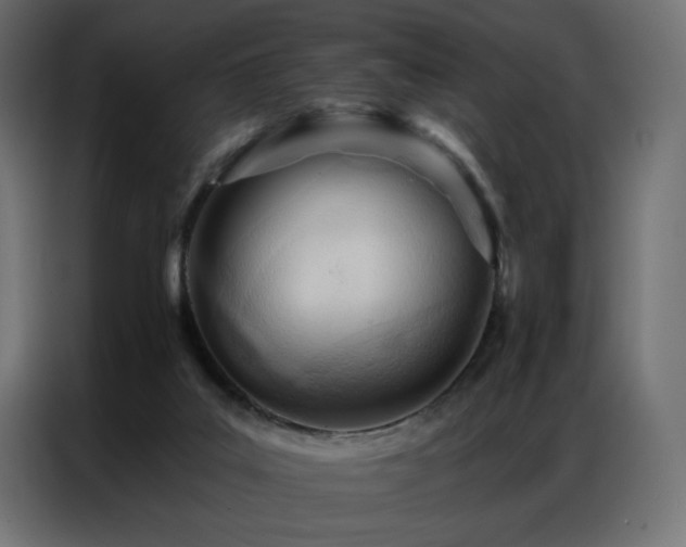 X0000086900019200704161329