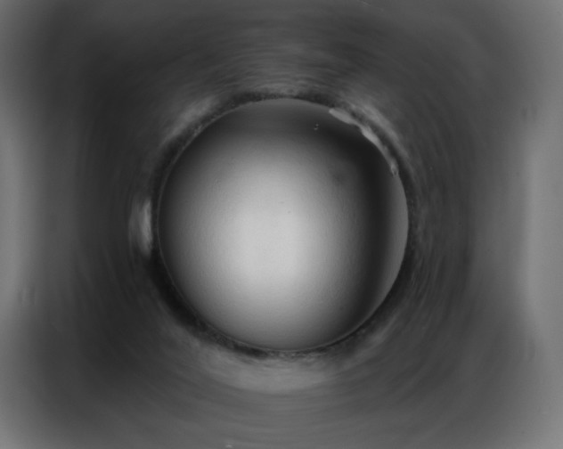 X0000086900020200704161329