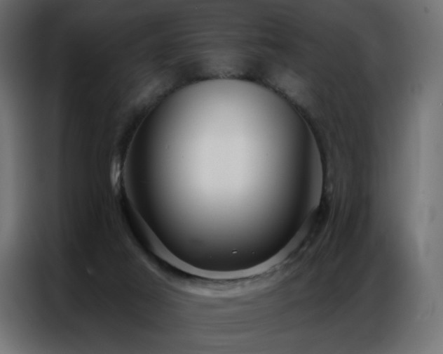 X0000086900021200704161329