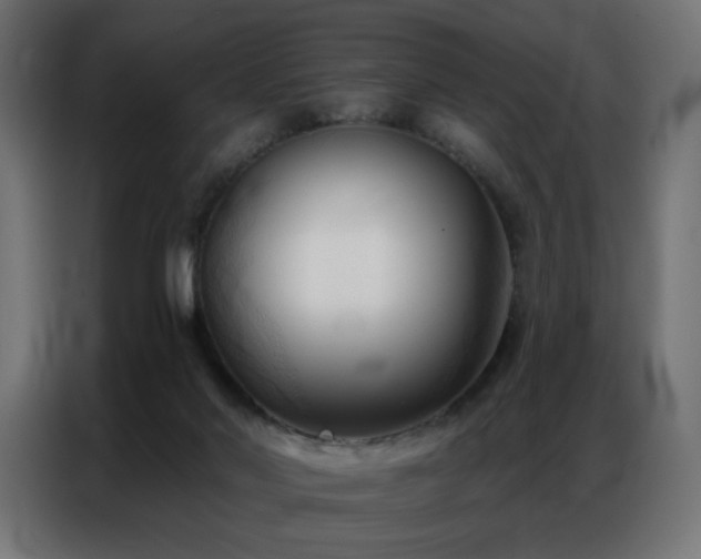 X0000086900022200704161328
