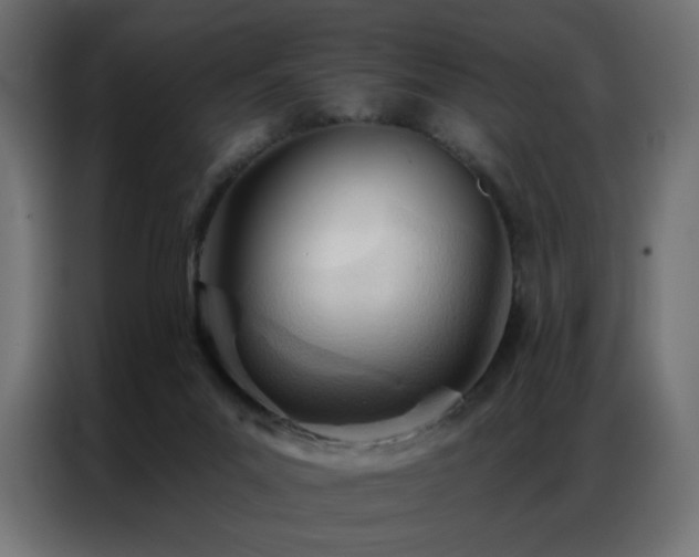 X0000086900023200704161328