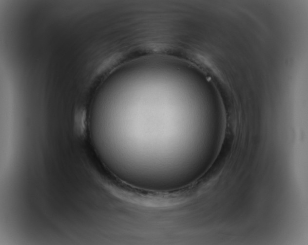 X0000086900024200704161328
