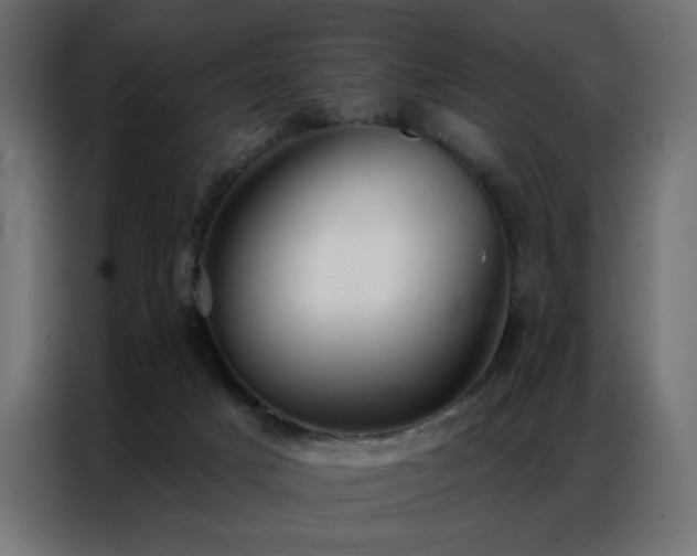 X0000086900025200704161328