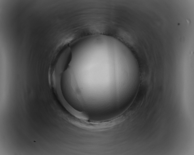 X0000086900027200704161328