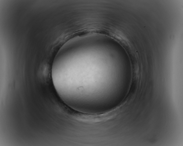 X0000086900029200704161328