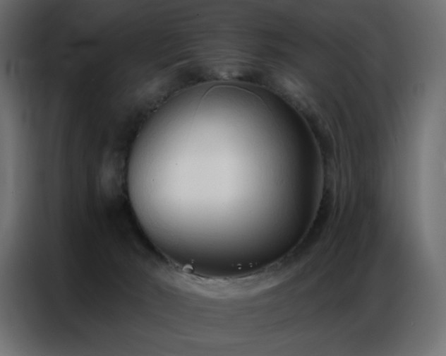 X0000086900030200704161328
