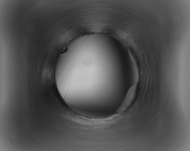 X0000086900031200704161328